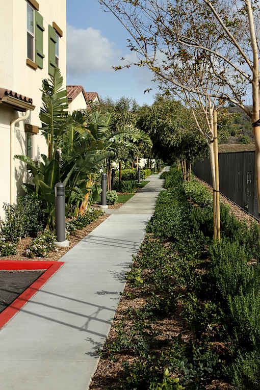 A sidewalk with a red stripe in the middle runs between a row of houses and a fence.
