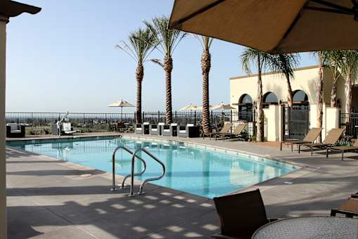 A pool surrounded by palm trees and lounge chairs.