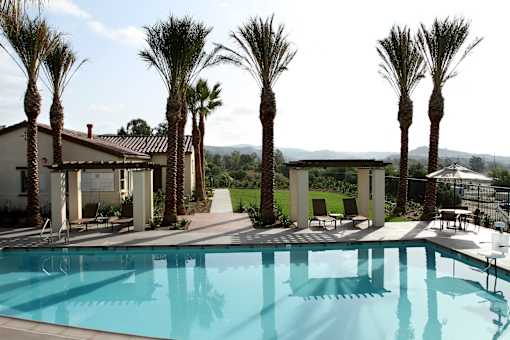 A pool surrounded by palm trees and a building in the background.