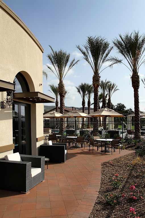 A patio with tables and chairs and palm trees.