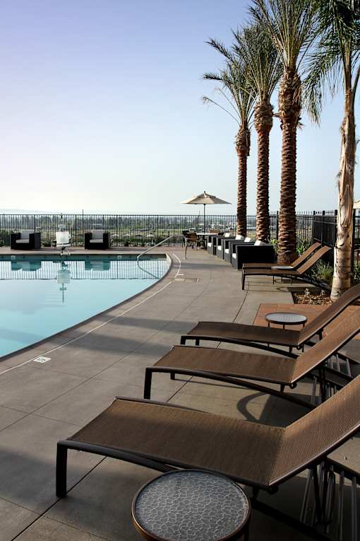 A pool surrounded by palm trees and lounge chairs.