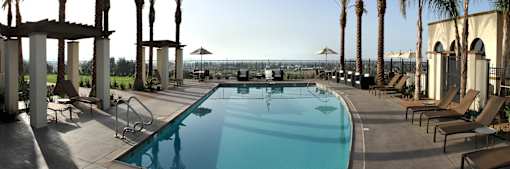 A large swimming pool surrounded by sun loungers and palm trees.