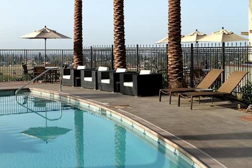 A pool with a black fence and palm trees.