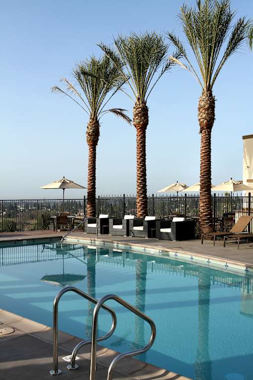 A pool surrounded by palm trees and deck chairs.