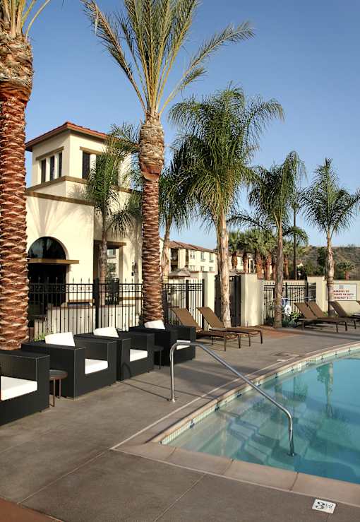 A pool surrounded by palm trees and lounge chairs.