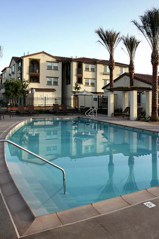 A swimming pool in front of a building with palm trees.