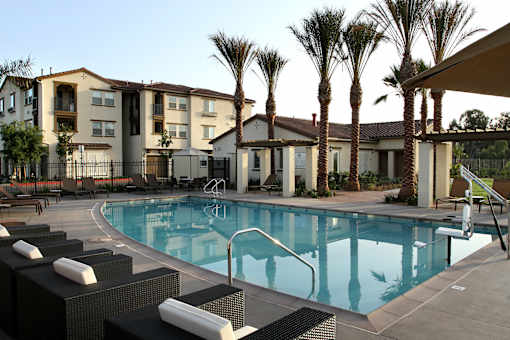 A swimming pool surrounded by palm trees and lounge chairs.
