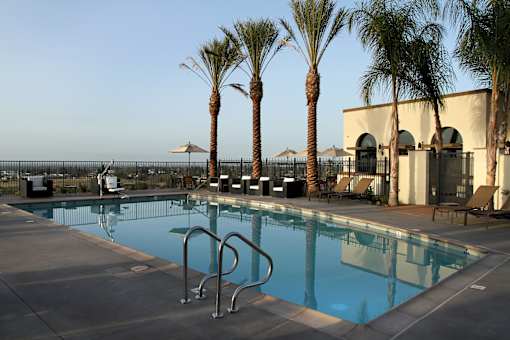 A pool surrounded by palm trees and a building.