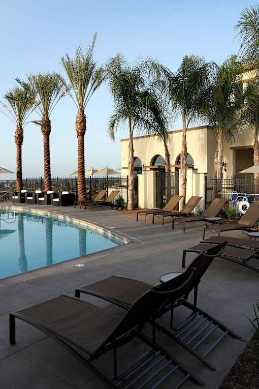 A pool surrounded by palm trees and lounge chairs.