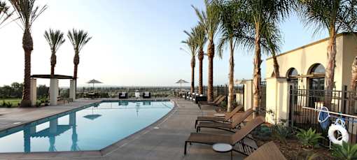 A pool surrounded by palm trees and lounge chairs.