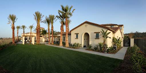 A house with a lawn and palm trees in front.