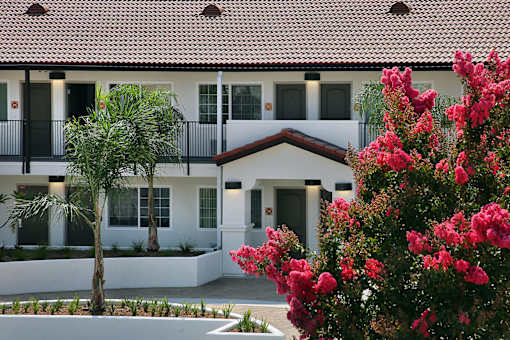 A white building with a red tile roof and a tree with pink flowers in front.