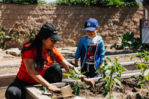 A woman and a boy are planting a tree in a garden.