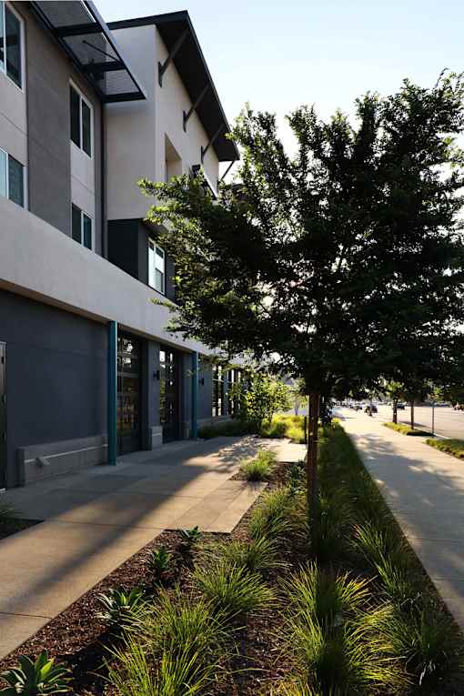A tree stands next to a building with a grey and white exterior.