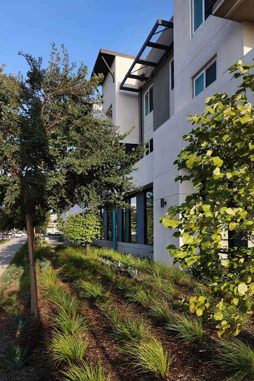 A modern building with a white exterior and a green tree in front.