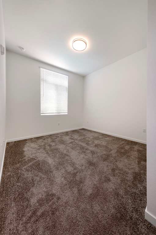 A room with a carpeted floor and a window with blinds.