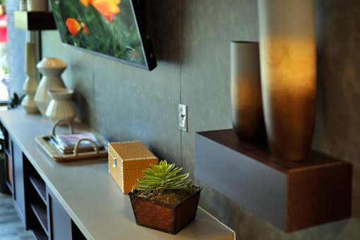 A small potted plant sits on a counter.