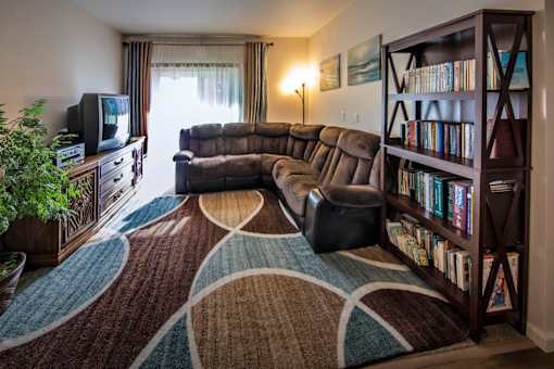 A living room with a brown rug and a brown bookshelf.