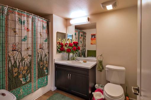 A bathroom with a shower curtain and a toilet.