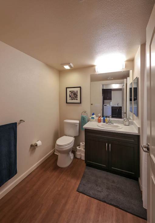 A bathroom with a toilet, sink, and mirror.