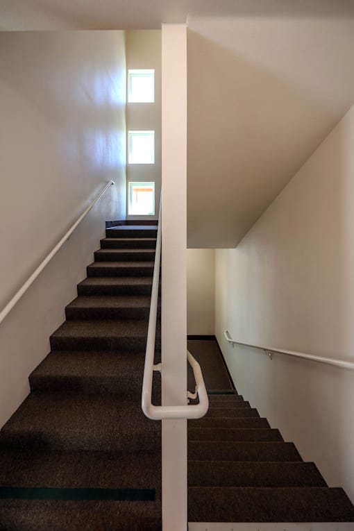 A staircase with a white railing and brown carpeting.