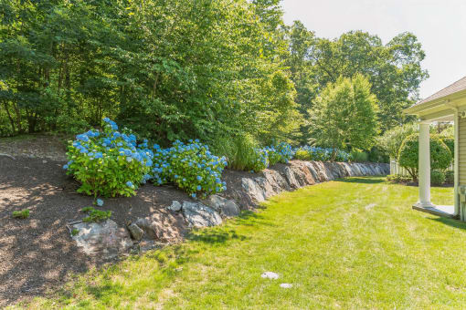 a garden with a stone retaining wall and blue flowers  at Cumberland Crossing, Cumberland
