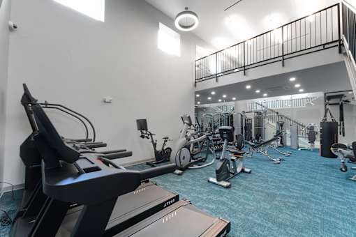 A gym with a variety of equipment including treadmills, stationary bikes, and weight machines.