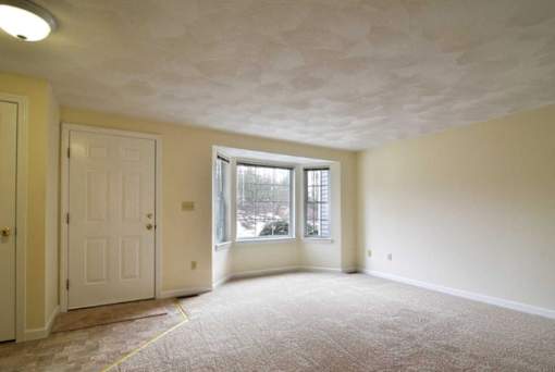 A non-renovated home at Birchwood Hills Townhomes showing the carpeted living room with front door and large window.