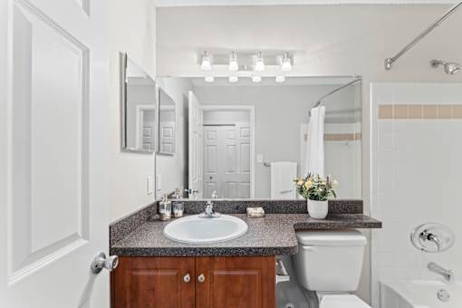 A bathroom with a sink, toilet, and mirror.