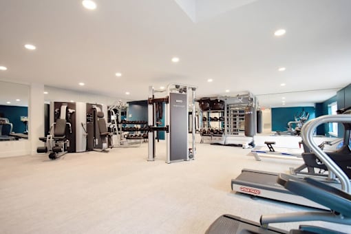 A spacious gym with a variety of equipment.