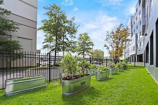 COMMUNITY GARDEN SPACE