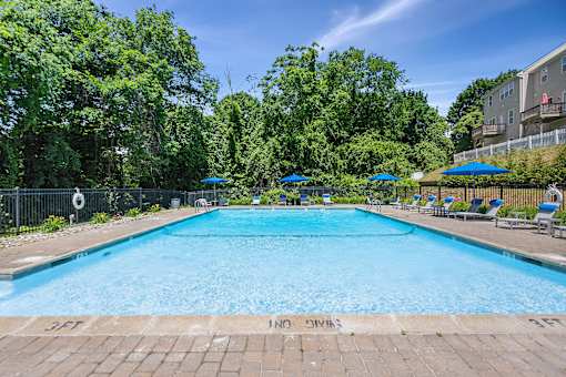 A large swimming pool surrounded by trees and umbrellas.