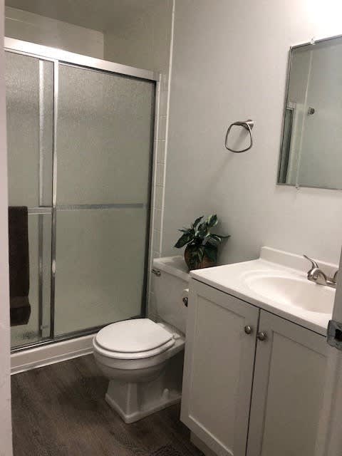a bathroom with a shower and a toilet and a sink