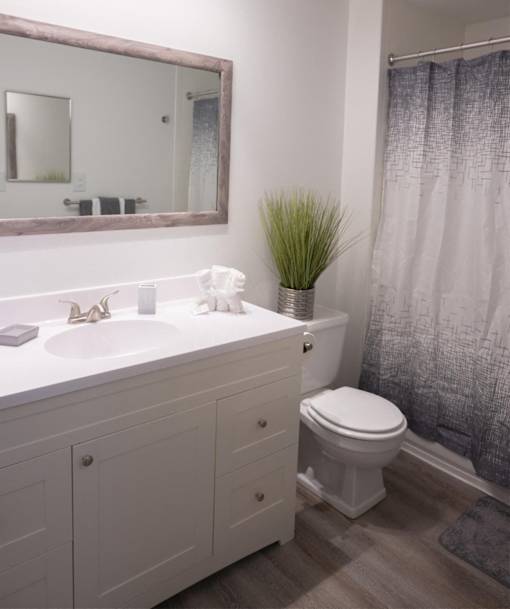 a bathroom with a toilet and a sink and a shower