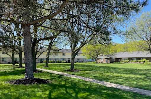 A tree in a grassy area with a building in the background.