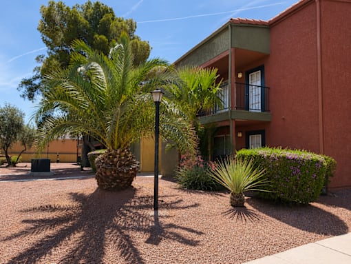 A palm tree stands in front of a building.