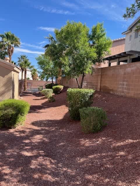 A tree in a yard with a wall and bushes.