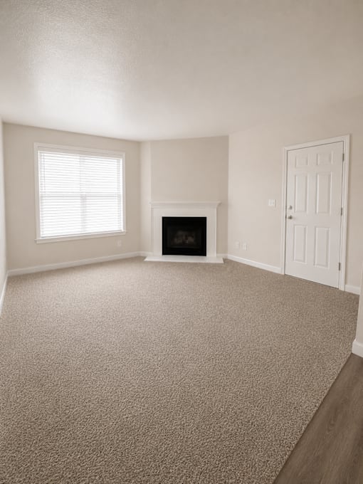 A room with a fireplace and a door.