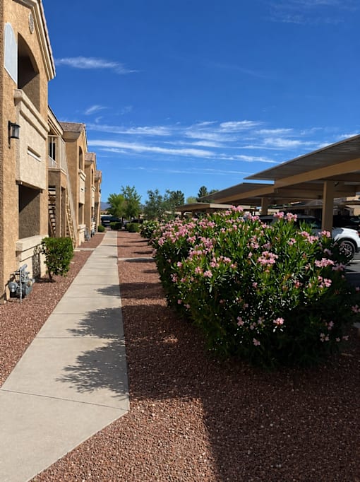 A row of buildings with a sidewalk and flowering plants.