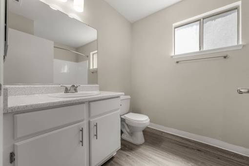a bathroom with a sink and a toilet
