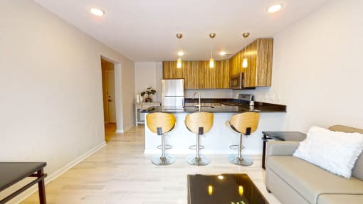 Apt. #207 kitchen and living room view