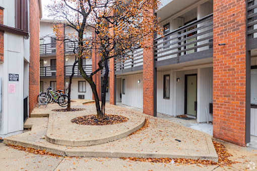 A tree with orange leaves is in front of a building.