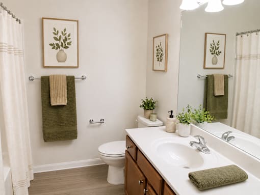 A bathroom with a toilet, sink, and mirror.