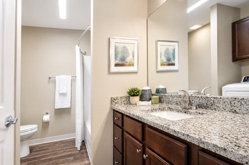 A bathroom with a sink, mirror, and toilet.