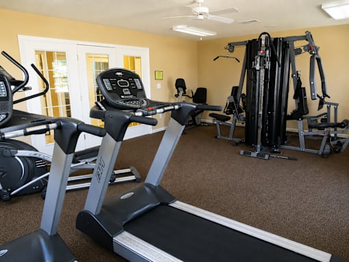 A home gym with treadmills, elliptical machines, and other exercise equipment.