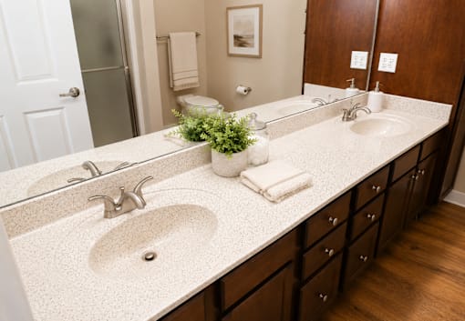 A bathroom with a white counter top and a plant on it.