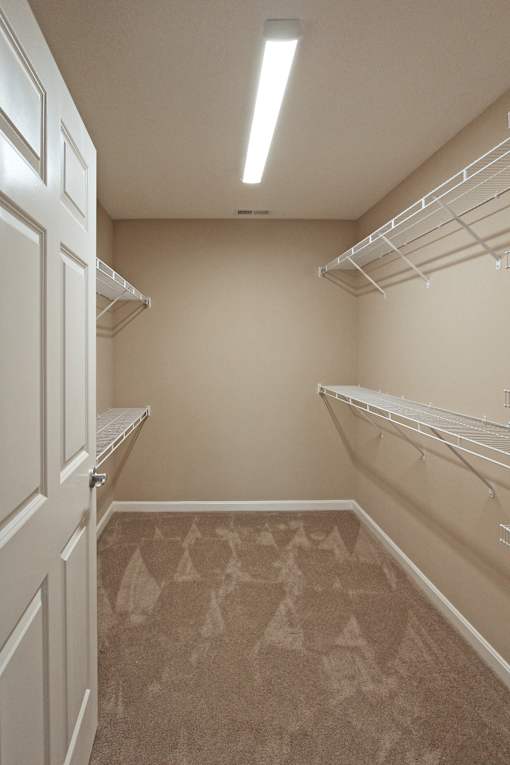 A walk-in closet with white shelving and a carpeted floor.