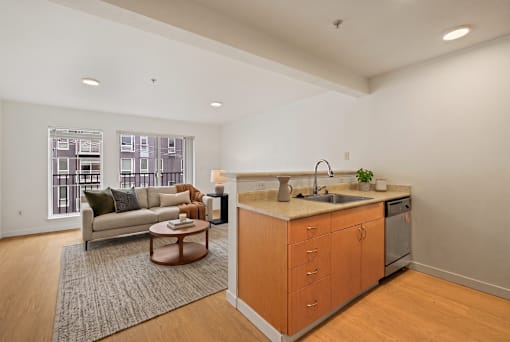 A kitchen with a sink and a counter with a plant on it.