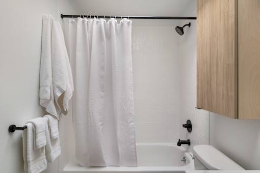 a bathroom with a bathtub and a toilet