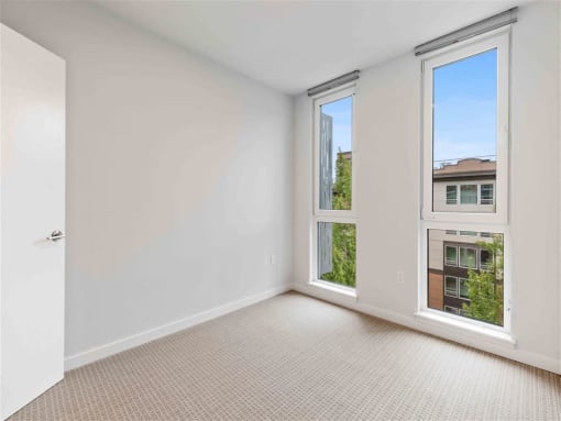 an empty living room with two windows and a carpet